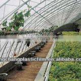 PE Greenhouse Plastic Film thumbnail-1
