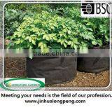 Felt Vigoroot Pots and Planters,Grow Bags To Plant Tomatoes, Peppers, Herbs and Potatoes thumbnail-1