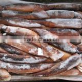 2016 delicious fresh seafood illex squid 200g-300g for market