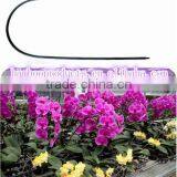 Dark Green U Shape Bamboo Sticks thumbnail-1