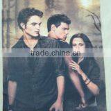 Custom Printing Heat Transfer Paper thumbnail-2