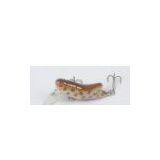 Fishing Lure , Hard Lure , INSECT thumbnail-1
