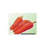 Sell Carrots thumbnail-1