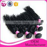 Cheap Virgin Malaysian Curly Hair Human Hair, Malaysian Kinky Curly Hair Weave, Malaysian Afro Kinky Curl Sew in Hair Weave thumbnail-3