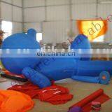 Inflatable Models