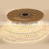 220V IP65 Waterproof 5050 LED Strip for Surface Mounted LED Linear Light