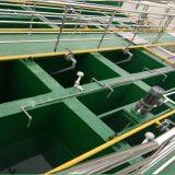 Waste Gas and Wastewater Treatment System thumbnail-5