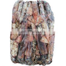 Whole Round China Frozen Black Squid Good Price Wholesale thumbnail-4