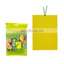 Eco Yellow Sticky Trap Insect Glue Traps for Thrips Flying Aphid Leaf Miners