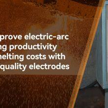 Handan Sudong Carbon Products Co., Ltd. company overview - view 3 thumbnail