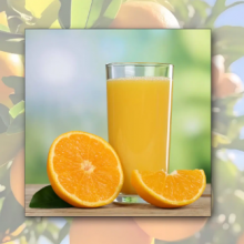 Frozen Orange Juice Concentrate thumbnail-2