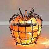 Himalayan Natural Rock Salt Lamp With Iron Art Cover