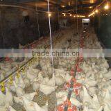 High Quality Poultry Farm Equipment for Sale