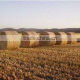 Bale Net thumbnail-2