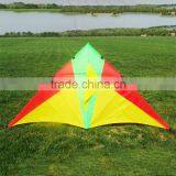 Big Kites for Sale