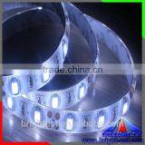 Waterproof RGB Led Strip IP68,RGB 5050 IP68 5m Waterproof Led Flexible Strip thumbnail-6