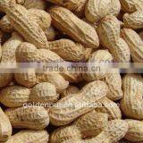 Peanut in Shell 2014 Crop