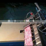 Sanitary Napkin Packing Machine