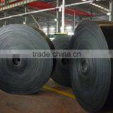 Heavy-Duty Nylon Conveyor Belting thumbnail-1