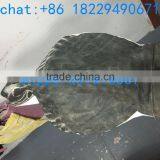 Canada Lifelike Realistic Hunting Windsock Greylag Goose Wing Decoy