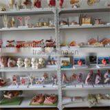 Suzhou Medical Teaching Model Co., Ltd. company overview - view 3 thumbnail