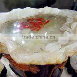 Rarenatural Quartz Crystal Cornucopia,natural Quartz Crystal Geodes thumbnail-5