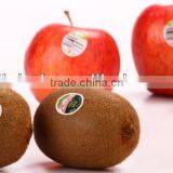 Self Adhesive Roll Label PP for Food thumbnail-1