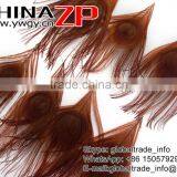CHINAZP Factory Bulk Sale Top Selling Dyed Brown Trimmed Short Peacock Feathers for Clothes Accessories thumbnail-2