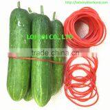 China Size 18 Red Rubber Band Manufacturer / 100% Natural Rubber thumbnail-4