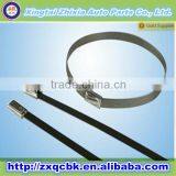 Promotional Stainless Steel Cable Ties/Nylon Cable Ties/Twist Ties thumbnail-2