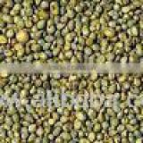 Green Millet from India