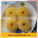 Fresh pineapple material healthy organic canned pineapple