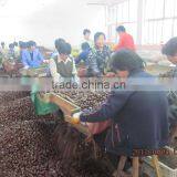 Price Chestnuts thumbnail-1