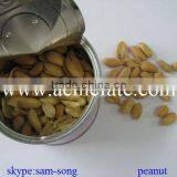 New Crop Fried Snacks Salted and Roasted Peanuts thumbnail-2