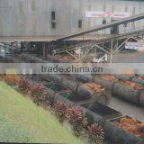 Africa Hottest Palm Oil Refining Machine/palm Oil Refinery Plant/palm Oil Fraction Machine With ISO&CE&BV