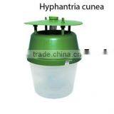 Bucket Trap for Hyphantria Cunea thumbnail-1