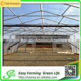 Gothic Arch Greenhouse thumbnail-6