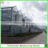 Polycarbonate Board Aluminium Garden Greenhouses From Factory Supplier thumbnail-1