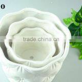 Hot Sale Personalized Wholesale Can Shape New Designed Ceramic Flower Vase and Flower Pot thumbnail-1