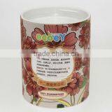 Fashion Twelve Constellations Lucky Flower Potted Plant -cosmos thumbnail-1