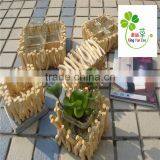 Cheap Wicker Basket for Plant Basket for Home Storage thumbnail-1