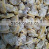 Wholesale Frozen New Produced Clam Meat in Good Season Without Sand thumbnail-3