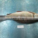 Frozen Rohu thumbnail-3