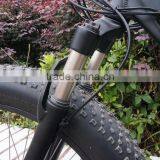 Fashionable Brushless Design no Foldable Electric Snow Bike Fat Tire Electric Bike thumbnail-5