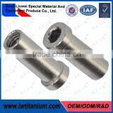 Baoji Liuwei Company High Quality Polished Gr5 Titanium Recessed Brake Nut for Bicycle