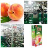 Fruit juice processing line