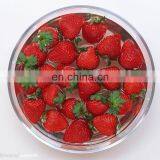 Good Quality Fruit and Vegetable Washing Machine/strawberry Washing Machine thumbnail-5