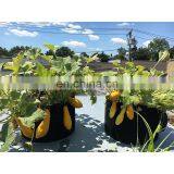 Non Woven Fabric Tomato Grow Bags, Geotextile Planting Grow Bags thumbnail-1