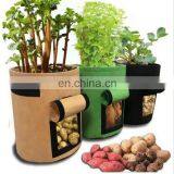 Amazon Hot Selling Grow Recycled Potato Felt Grow Bags thumbnail-3