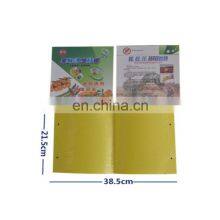 Fruit Fly Melon Fly Pheromone Glue Trap Paper Insect Sticky Board Pheromones Cards thumbnail-3
